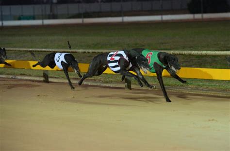 greyhound results from kilkenny.